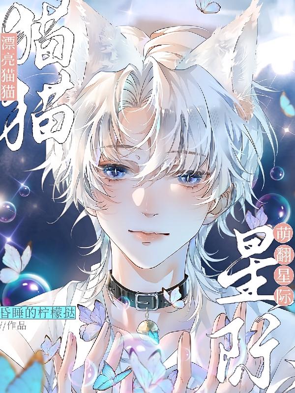 漂亮猫猫，萌翻星际