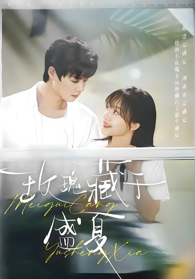玫瑰藏于盛夏封面