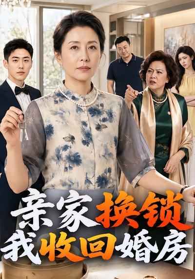 亲家换锁我收回婚房封面