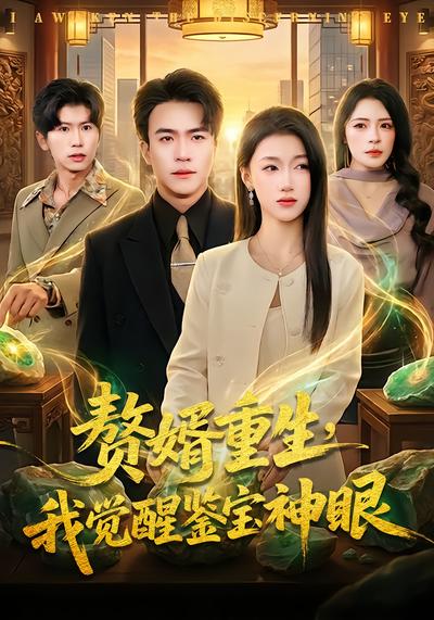 赘婿重生，我觉醒鉴宝神眼 - 在线观看