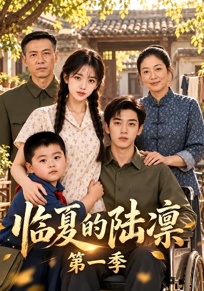 临夏的陆凛第一季封面