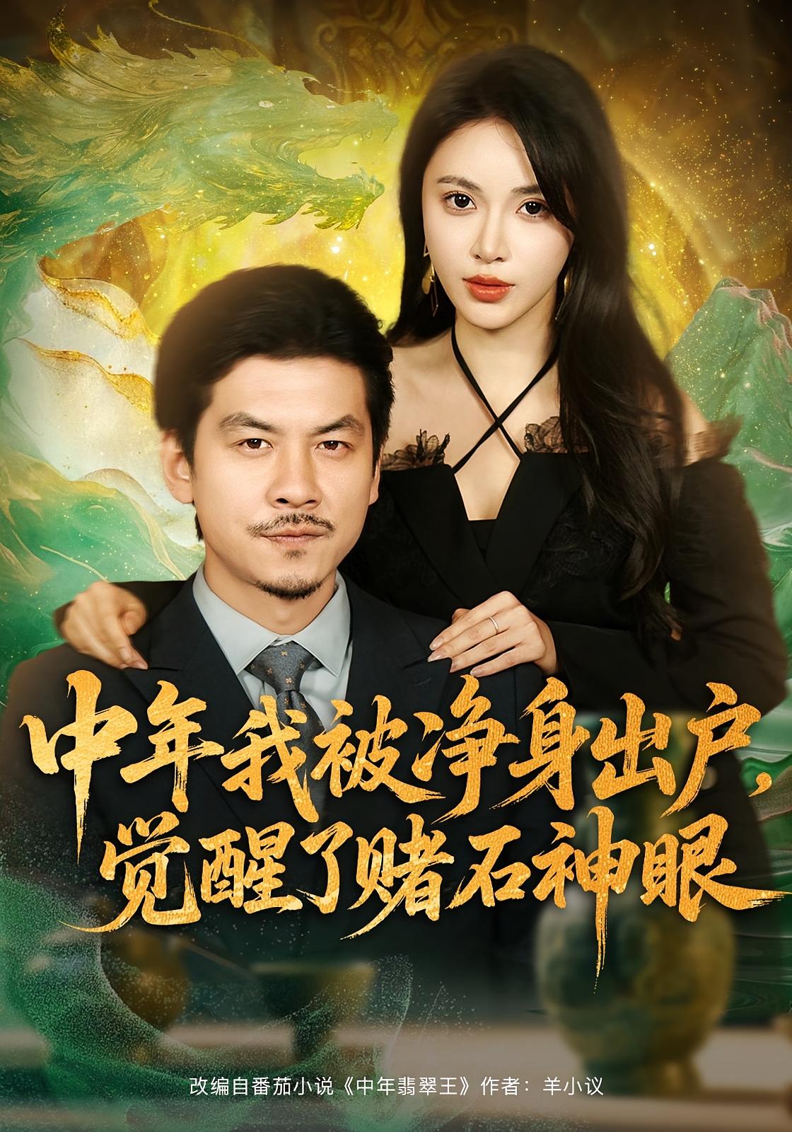 中年我被净身出户，觉醒了赌石神眼