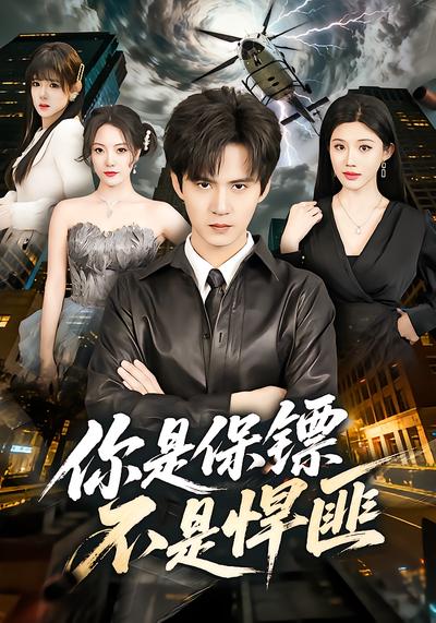 你是保镖不是悍匪 - 在线观看