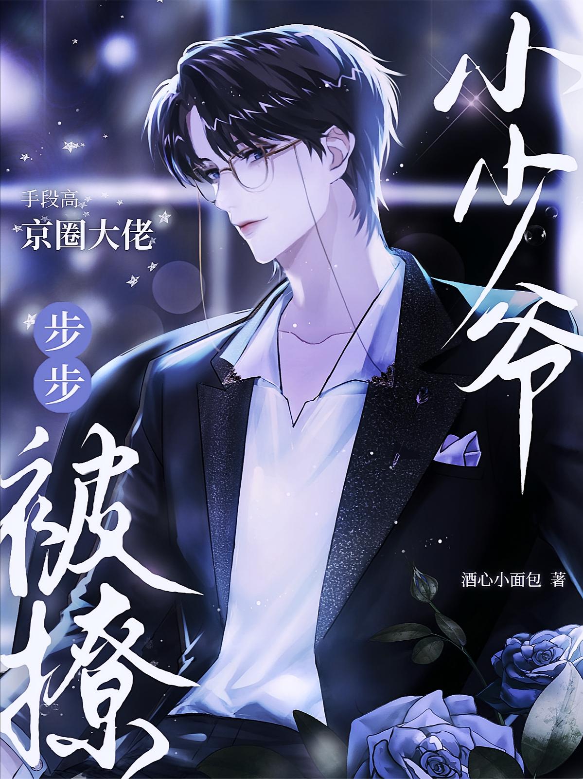 京圈大佬手段高，小少爷步步被撩