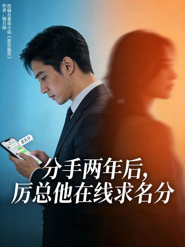 分手两年后，厉总他在线求名分