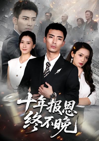 十年报恩终不晚 - 在线观看