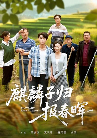 麒麟子归报春晖