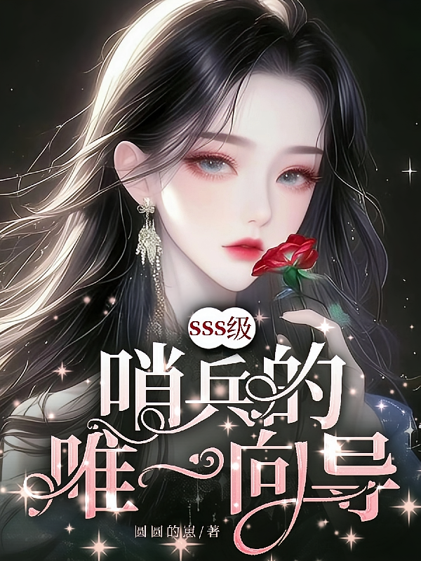SSS级哨兵的唯一向导
