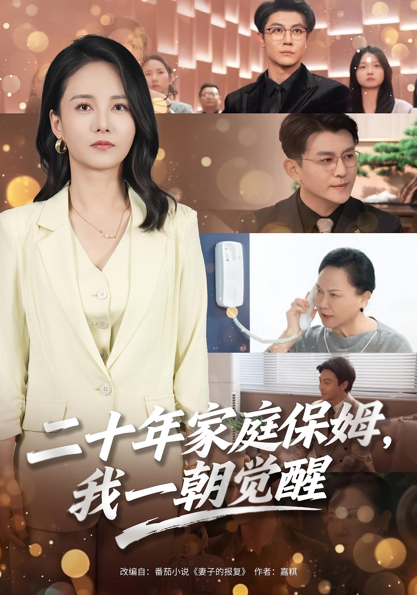 二十年家庭保姆，我一朝觉醒