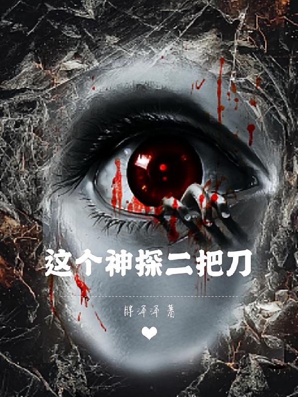 这个神探二把刀