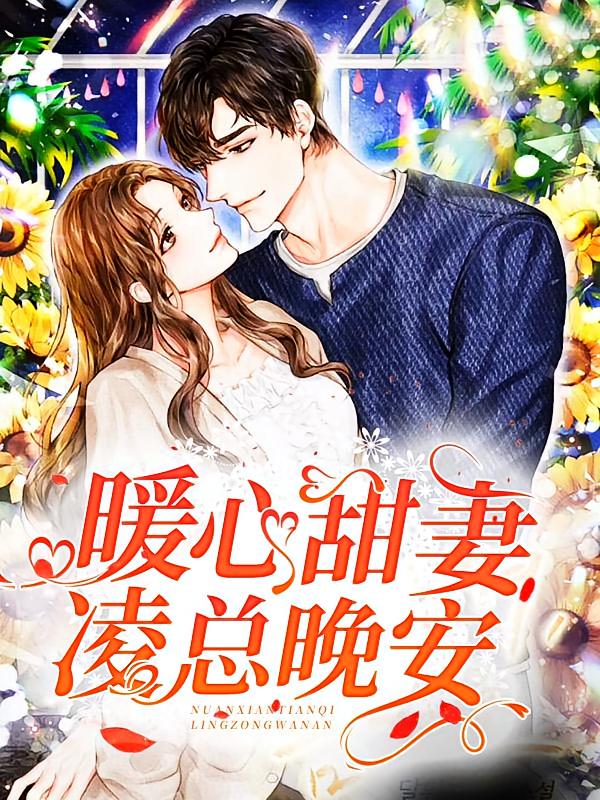 暖心甜妻凌总晚安