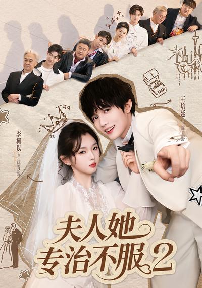 夫人她专治不服2封面