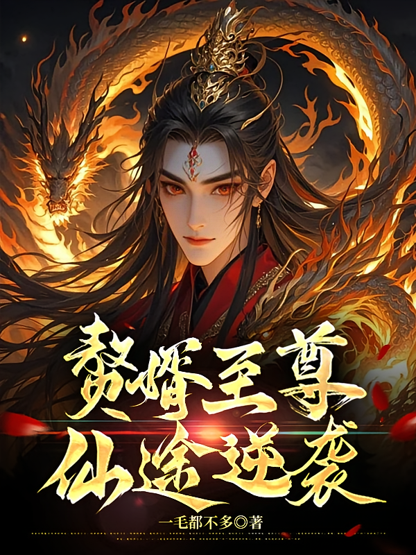 赘婿至尊仙途逆袭