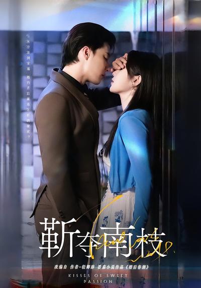 靳夺南枝封面