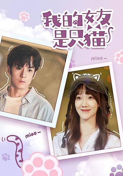 我的女友是只猫