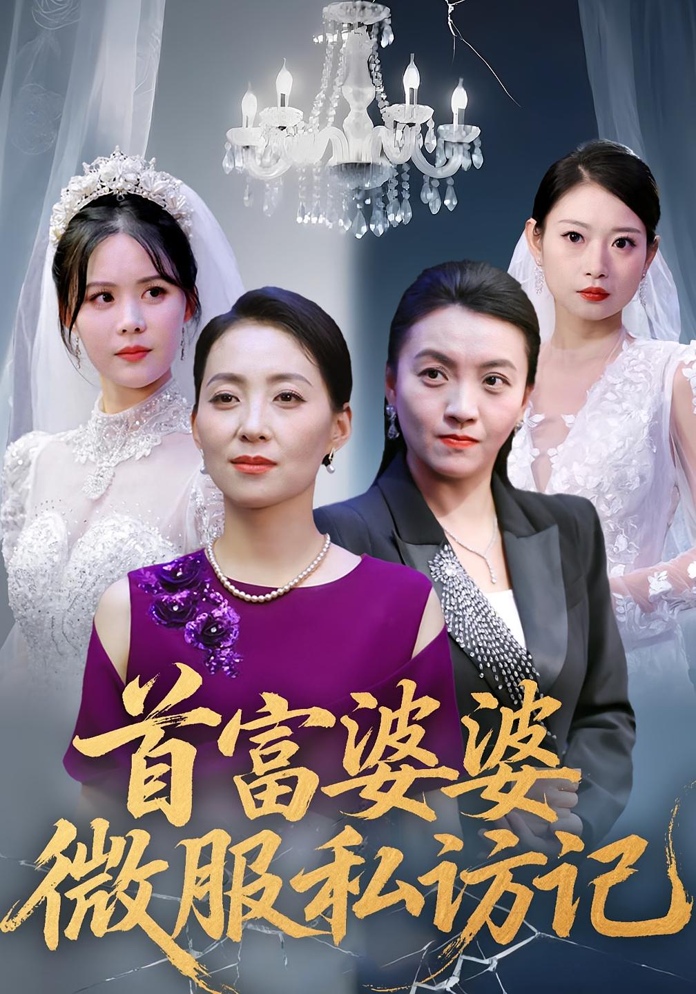 首富婆婆微服私访记