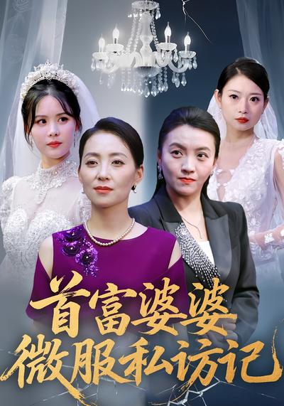 首富婆婆微服私访记