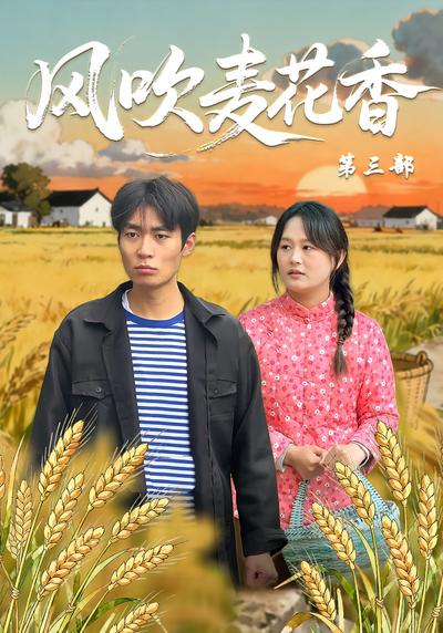 风吹麦花香第三部