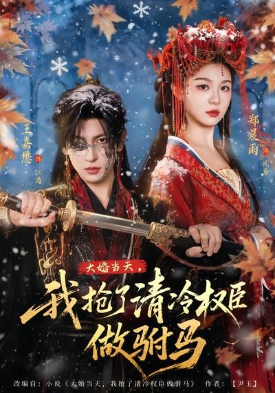 大婚当天，我抢了清冷权臣做驸马 - 在线观看