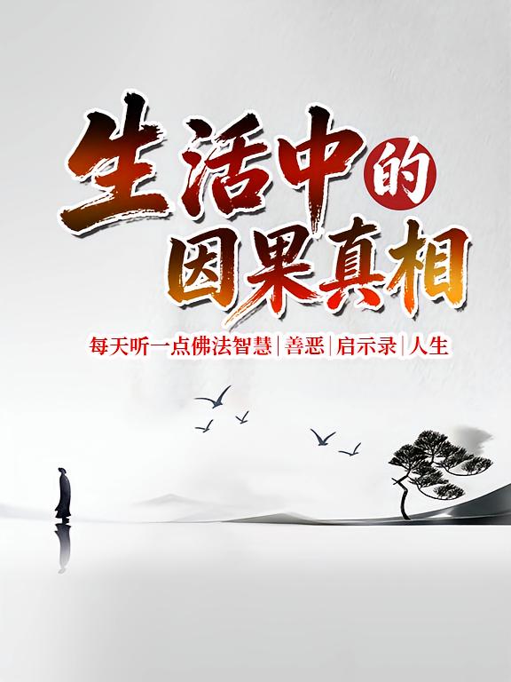 生活中的因果真相：每天听一点佛法智慧｜善恶｜启示录｜人生