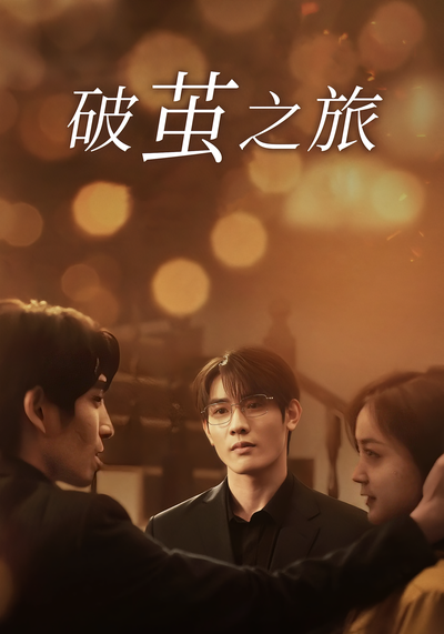 破茧之旅