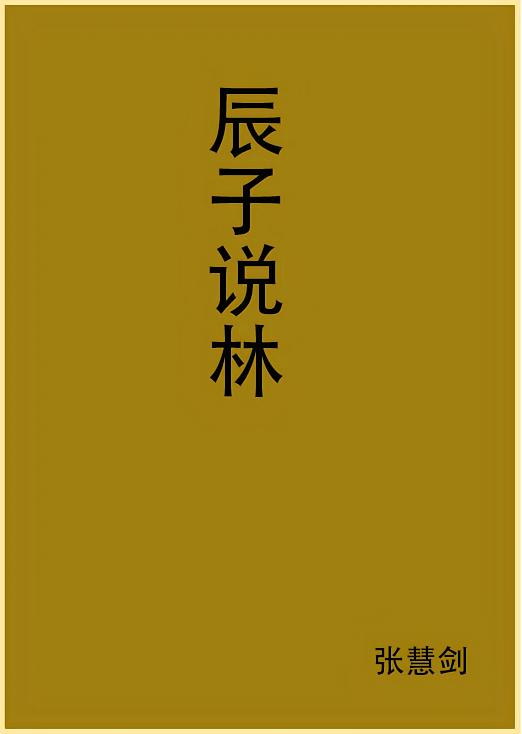 辰子说林