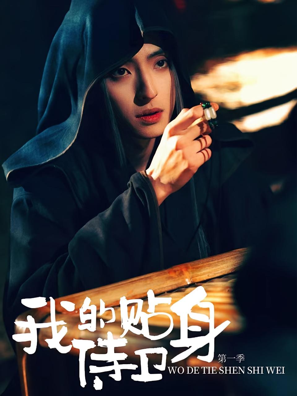 我的贴身侍卫 第一季