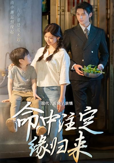 命中注定缘归来