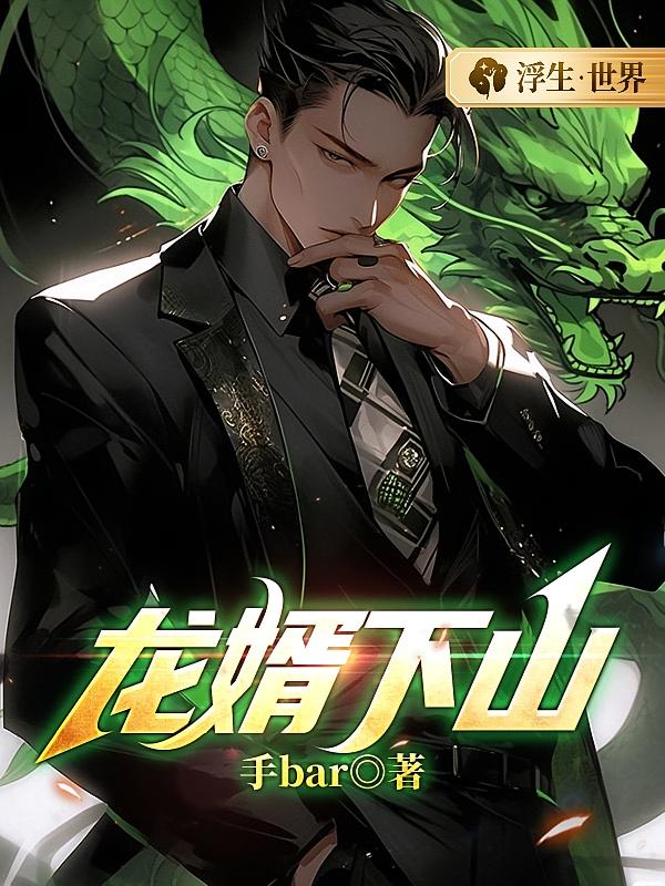 龙婿下山