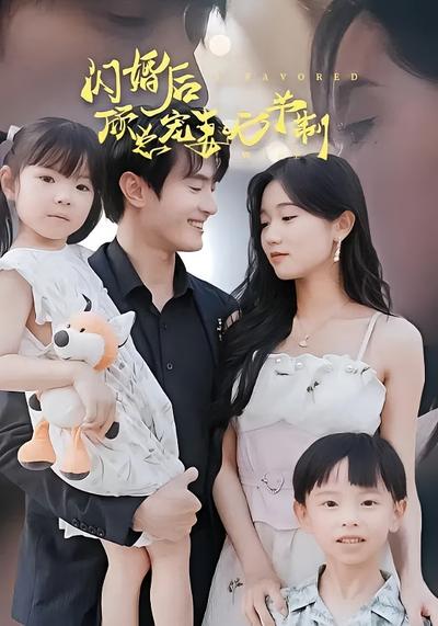 闪婚后顾总宠妻无节制