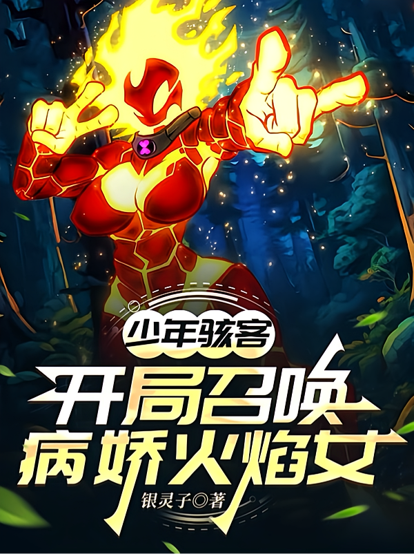 少年骇客：开局召唤病娇火焰女