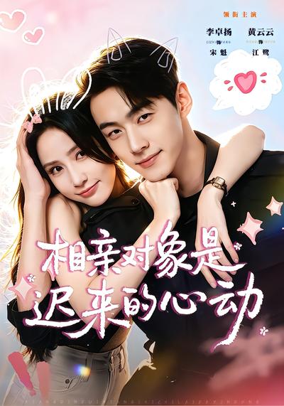 相亲对象是迟来的心动 - 在线观看