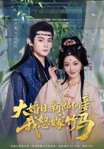 大婚日，新郎纳妾我怒嫁竹马 - 在线观看
