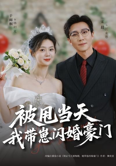 被甩当天，我带崽闪婚豪门