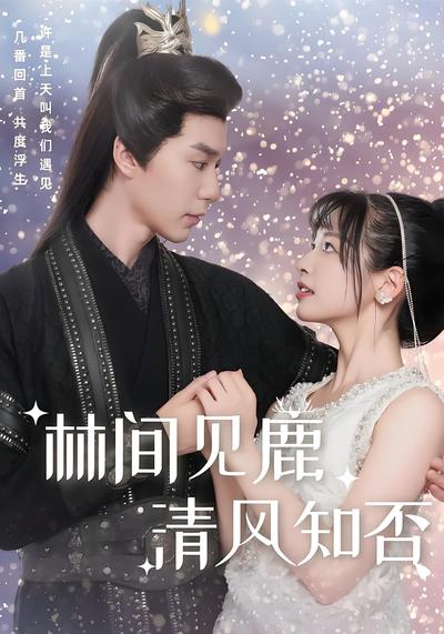 林间见鹿 清风知否