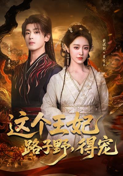 这个王妃路子野，得宠