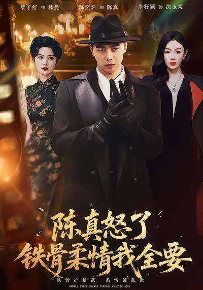 陈真怒了铁骨柔情我全要  - 在线观看