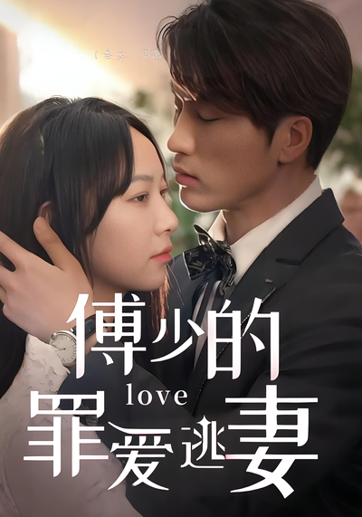 傅少的罪爱逃妻