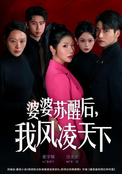 婆婆苏醒后，我凤凌天下