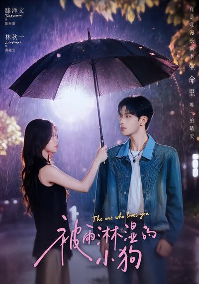 被雨淋湿的小狗 - 在线观看