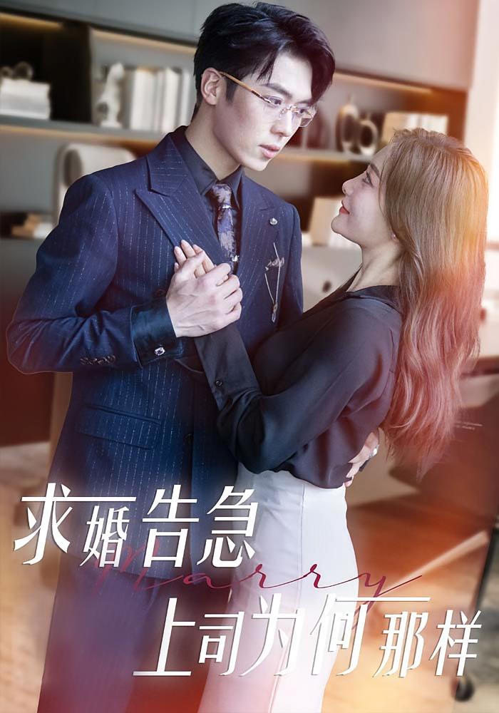 求婚告急，上司为何那样