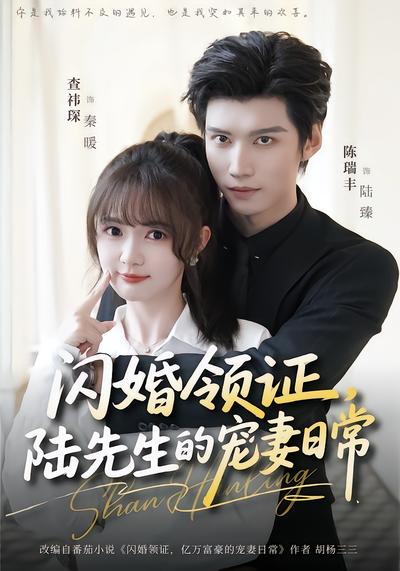 闪婚领证，陆先生的宠妻日常 - 在线观看