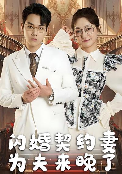 闪婚契约妻，为夫来晚了