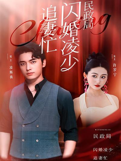 民政局外闪婚凌少追妻忙