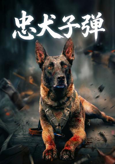 忠犬子弹