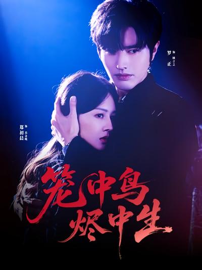 笼中鸟，烬中生