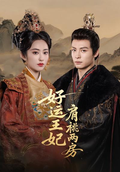 好运王妃肩祧两房