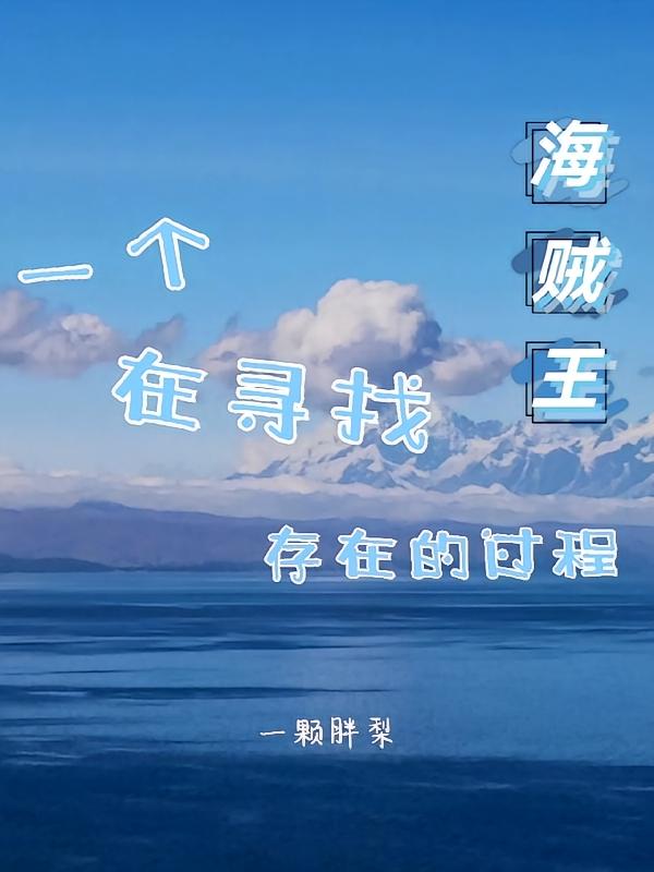 海贼王：一个在寻找存在的过程