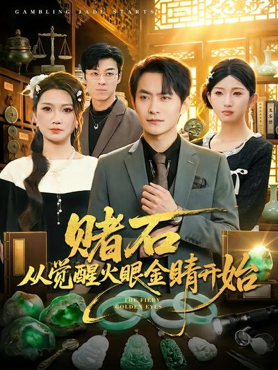 赌石从觉醒火眼金睛开始 - 在线观看