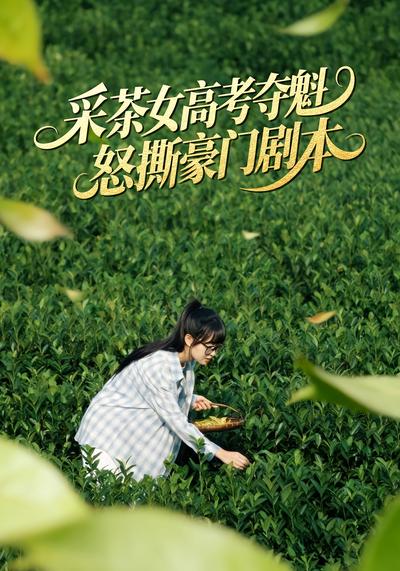 采茶女高考夺魁，怒撕豪门剧本